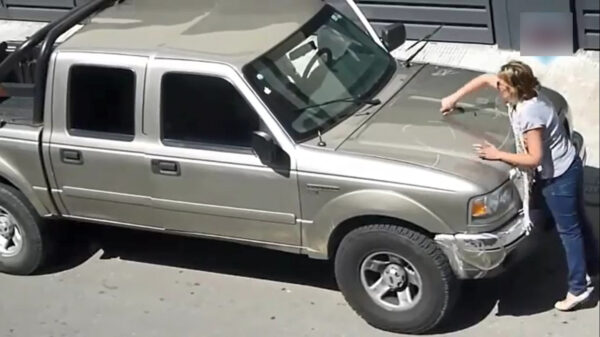 Zorg dat je in het verkeer nooit ruzie krijgt met een ijverige kunstenares