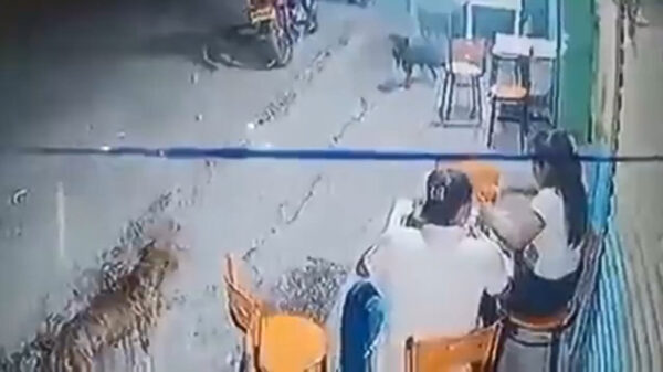 Pittige tante komt voor zichzelf op en deelt een paar rake klappen uit