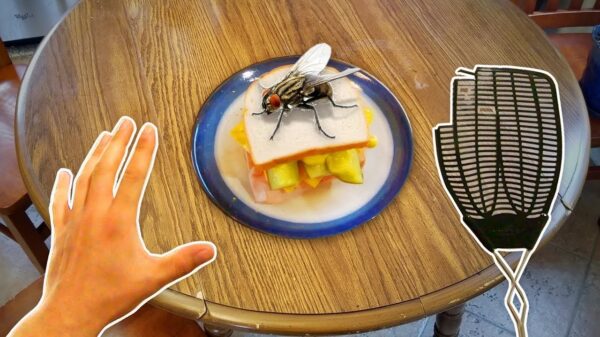 Komische first-person-video legt heerlijk vast hoe irritant vliegen kunnen zijn