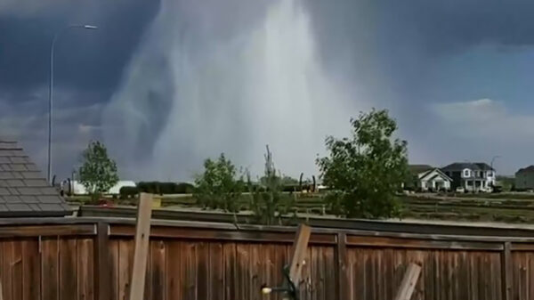 F this place in particular