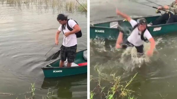 Bootprutser maakt van véél te dichtbij kennis met een krokodil