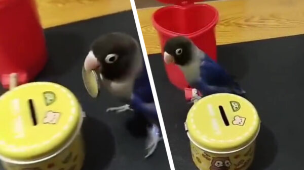 Hey, ruim jij je rotzooi eens even op!