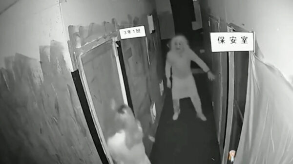 Compilatie: de beste schrik- en broekpoepmomentjes uit een spookhuis