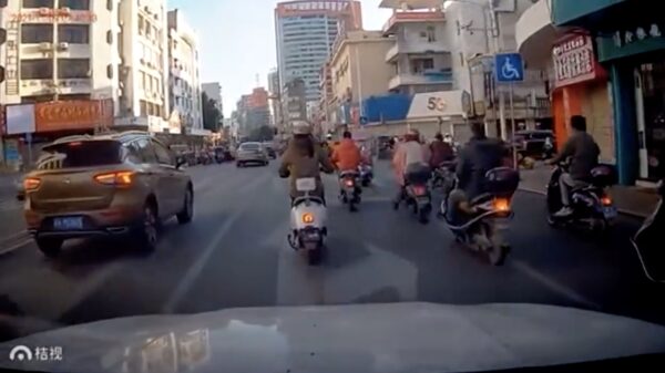 In China hebben stieren van links blijkbaar ook gewoon voorrang