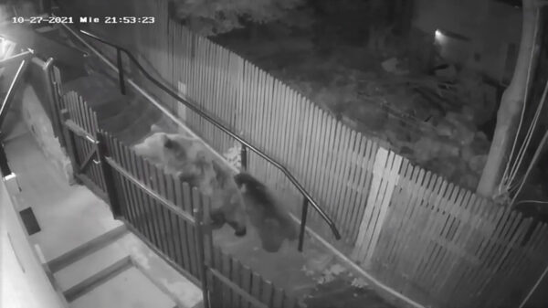 Pardon mevrouw, heeft u wellicht ook een beetje honing voor ons?