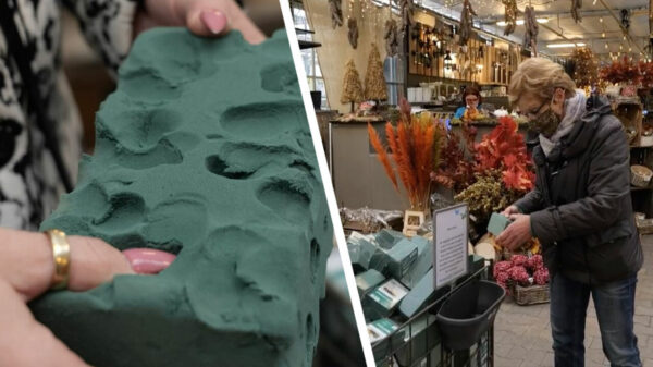 Bij de Intratuin in Tilburg mag je legaal in die lekkere schuimblokken knijpen