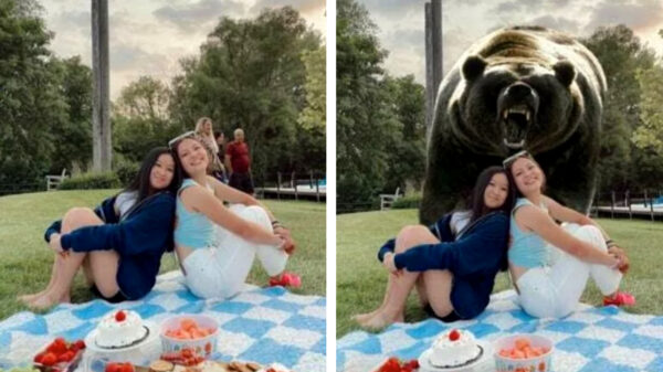 James Fridman heeft een concurrent: ook Jaffa maakt hilarische Photoshops op verzoek