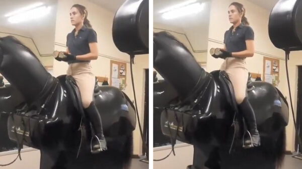 Skoften snelcursus: dit is de juiste houding bij het paardrijden