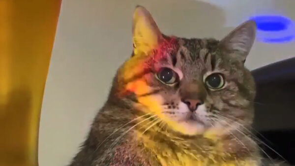 Ondertussen in da club gaat iedereen lekker los