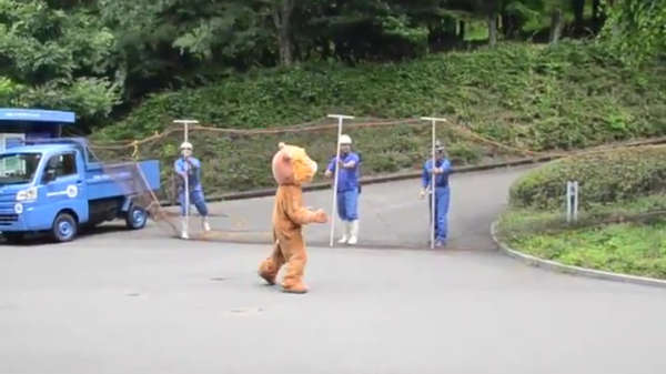 Zo trainen Japanse dierentuinmedewerkers voor een leeuwenontsnapping