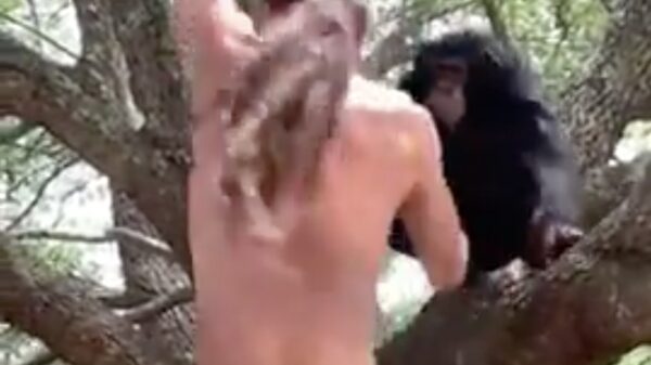 Tarzan krijgt hulp van zijn beste vriendin