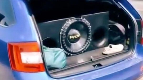 Tip van de dag: leg nooit je sneakers in de buurt van een speaker