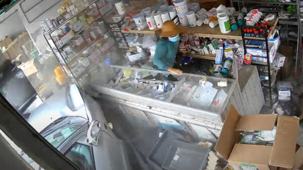 Vrouw door kogelhard binnencrashende auto afgeleid tijdens het tellen van geld