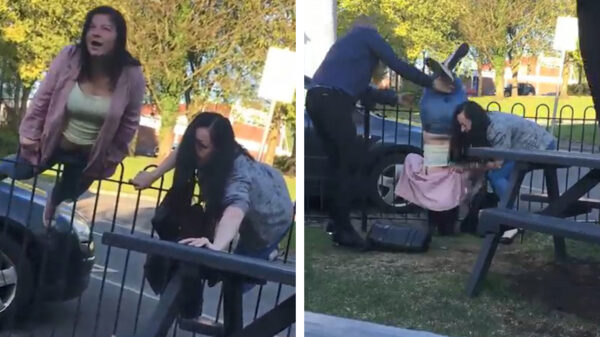 Zie hier de struggles van twee kroegtijgers die over een hekje proberen te klimmen