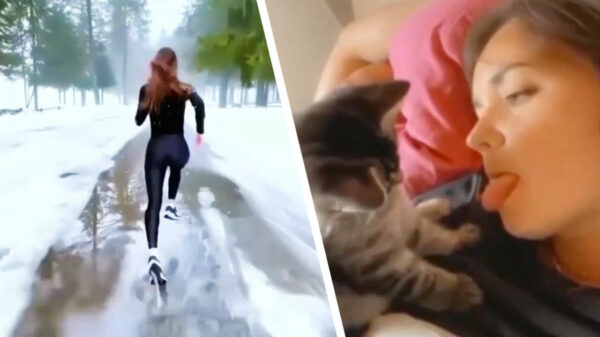 Heerlijke randomness in een nieuwe Coubcompilatie (150)