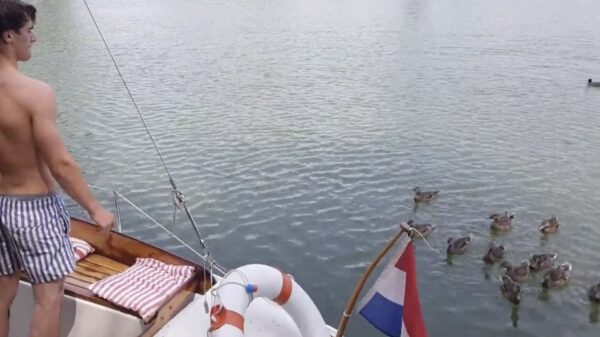 Zelfs eendjes gaan heerlijk op "links rechts" van de Snollebollekes