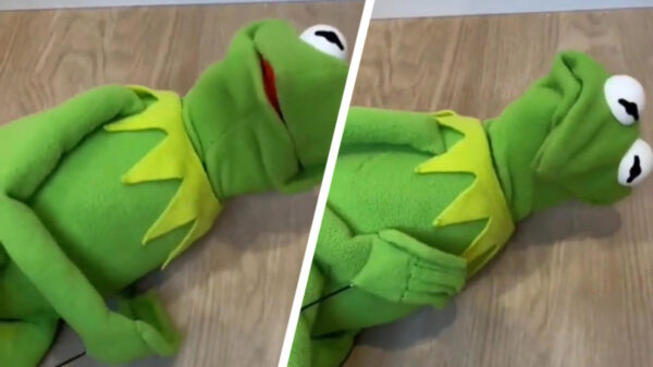 Als je eindelijk even alleen in de kamer bent