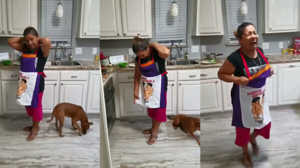 Moedertjelief krijgt een nieuw schort om lekker in te koken