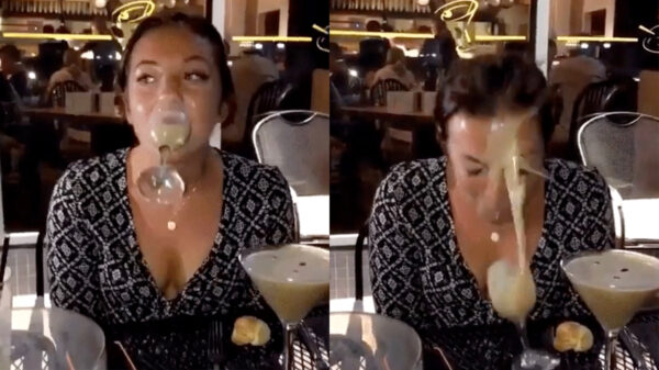 20 pics en gifs voor doordenkers en liefhebbers van viespeukerij