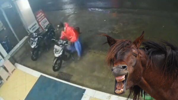 Foutje, bedankt! Swinger neemt per ongeluk de verkeerde scooter mee