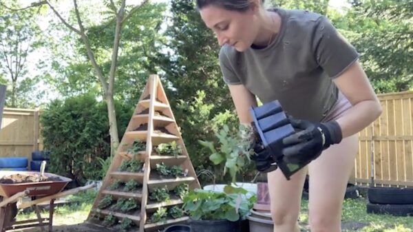 Holly Wolf zorgt ervoor dat we weer plezier krijgen in tuinieren