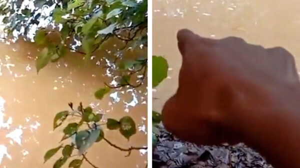 Hi guys, dit is dus de reden dat je niet zomaar in het water springt