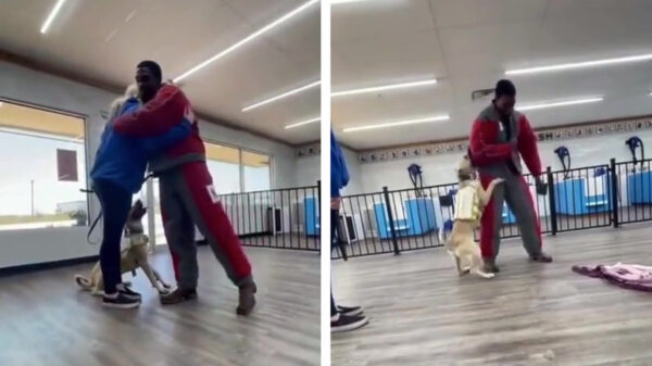 Maak kennis met de best getrainde hond van 2021