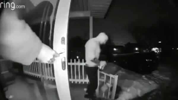 Deze ezel stoot zich twee keer aan dezelfde steen