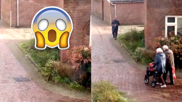 Vieze wildpoeper in Noordwijkerhout wordt geconfronteerd door Shabir Burhani