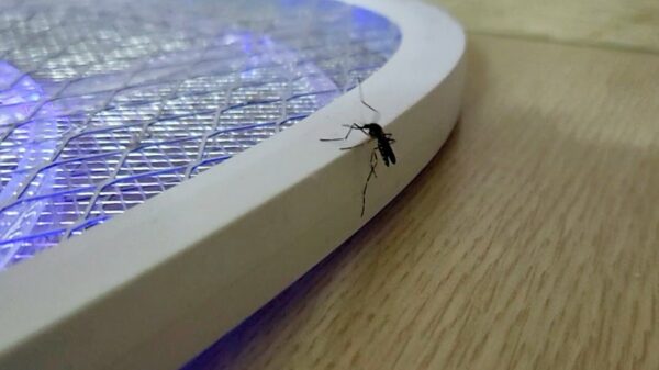 Mug ziet het niet meer zitten en stapt zelf uit het leven