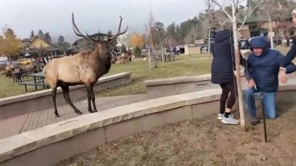 Opzouten, hier waak ik!