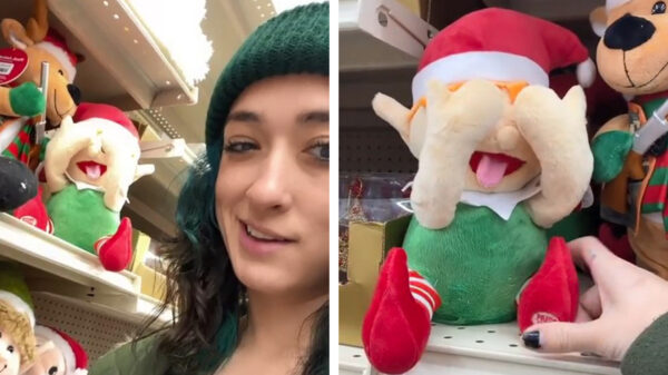 Deugnietje heeft haar gewenste kerstcadeau al binnen