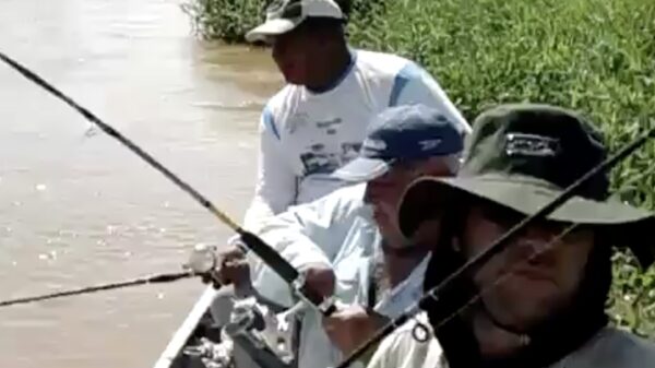 Uit de oude doos: sneaky krokodil probeert een makkelijke lunch te regelen