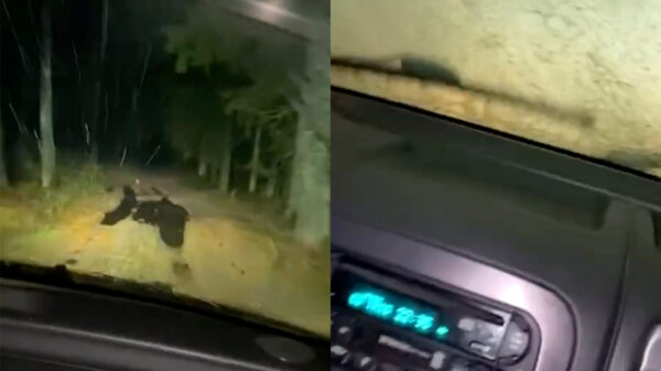 Wat is er nou leuker dan met je vrienden een stukje off road crossen?