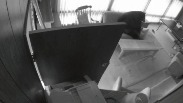 Beer komt gewoon even in je huis chillen