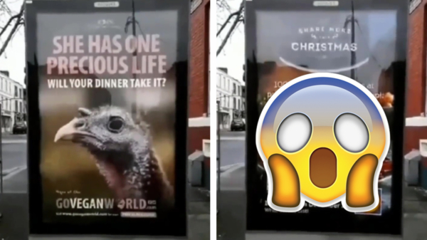 Van deze reclame-combinatie gaan een boel vegans heel verdrietig worden