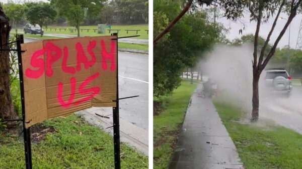 Dit is de meest vermakelijke manier om verkoeling te zoeken