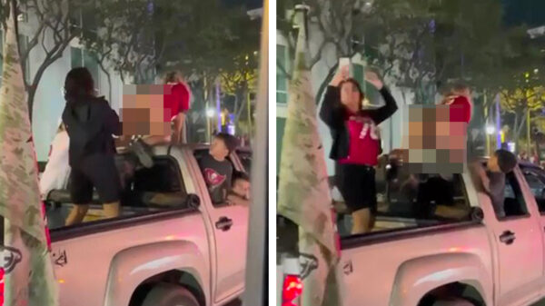 Koter kijkt toe hoe mama met haar kadetjes aan het fladderen is