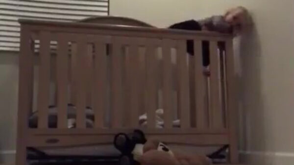 Koter heeft net iets te vaak Prison Break gekeken