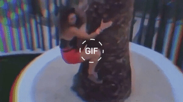 VrijMiGifdump: ook de kerstborrel was weer ontzettend gezellig!