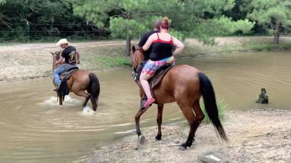 Romantisch middagje paardrijden valt letterlijk in het water