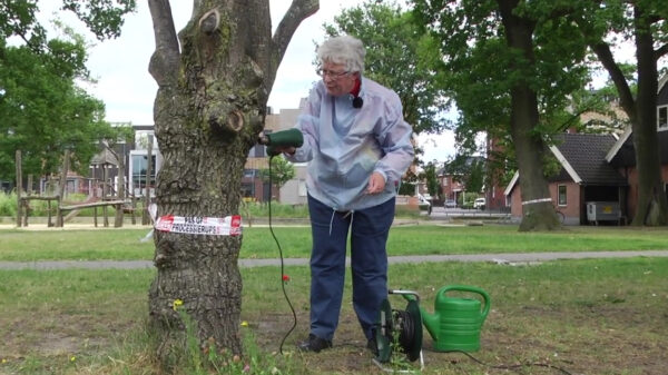 Tukker-oma Attie (69) versus de processierups: kill it with fire!