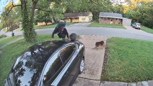 Hond van de buren heeft weer een onschuldige voetganger in het vizier