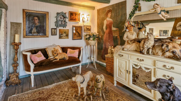 Dit huis is speciaal voor degenen die graag in een horror-kringloop willen wonen