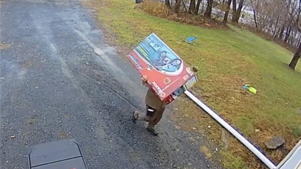 Zo kan het dus ook: UPS-bezorger gaat level 100 pakketjes afleveren