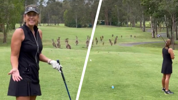 Gewoon even een doodnormaal potje golf in Australië
