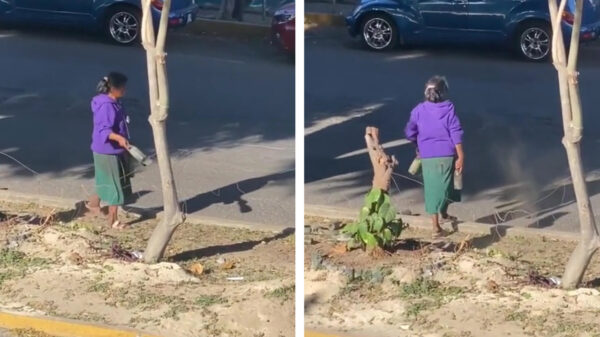 Deze dame heeft zo'n hekel aan auto's dat ze er maar flessen tegenaan gooit
