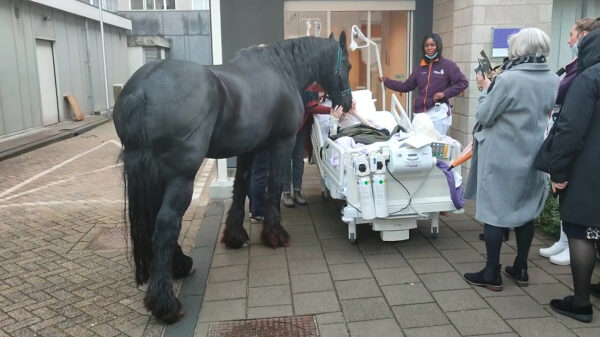 Albert Schweitzer ziekenhuis laat laatste wens van ongeneeslijk zieke Natascha uitkomen