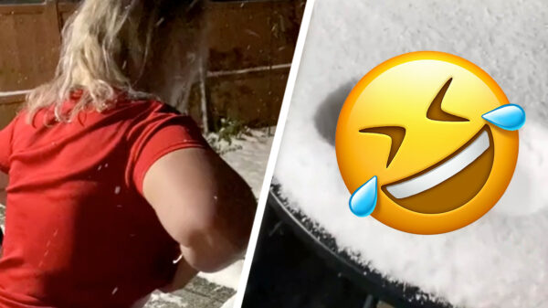 Uit de oude doos: vergeet sneeuwengelen, het is tijd voor sneeuwboebies