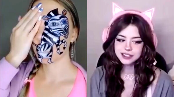 Heerlijke randomness in een nieuwe Coubcompilatie (152)